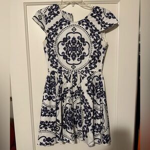 Perfect condition fit and flare dress